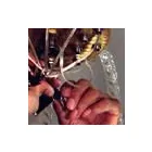 Business 1 image CRYSTAL-SMITH LLC Chandelier Cleaning in Bronx NY
