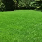 Business 8 image CURB APPEAL LAWN & TREE CARE Tree Service in Colorado Springs CO