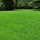 Business 2 image CURB APPEAL LAWN & TREE CARE Tree Service in Colorado Springs CO