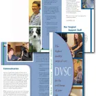 Business 7 image D MEDIA DESIGN Web Design in Dallas TX