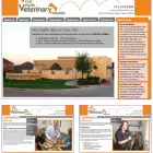 Business 1 image D MEDIA DESIGN Web Design in Dallas TX