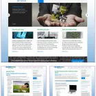 Business 3 image D MEDIA DESIGN Web Design in Dallas TX