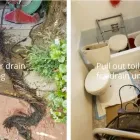 Business 6 image D-PLUMBER PLUMBING & DRAIN Plumbers in Stockton CA