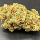 Business 1 image DAB & GO Cannabis Store in Oklahoma City OK