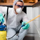 Business 3 image DALLAS PEST CONTROL SOLUTIONS in Dallas TX