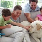 Business 4 image DALWORTH CLEAN Carpet Cleaning in Euless TX