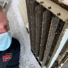 Business 3 image DANDY DUCT CLEANING in Plano TX