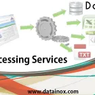Business 1 image DATAINOX SERVICES Web Design & Development in Austin TX