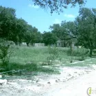 Business 1 image DAVID LOPER DC Physicians Surgeons Acupuncture in Georgetown TX