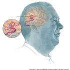 Business 1 image DAVID NEWELL, MD Home Health Services in Bellevue WA