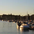 Business 2 image DAVIDSON PROPERTY CONSULTANTS Real Estate Agents in Folsom CA