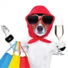 Business 1 image DAZZLE CLEANING - SCOTTSDALE Office Cleaning in Scottsdale AZ