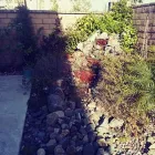 Business 2 image DE LA ROSA LANDSCAPING Lawn Care Service in San Diego CA