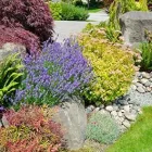 Business 3 image DE LA ROSA LANDSCAPING Lawn Care Service in San Diego CA