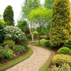 Business 4 image DE LA ROSA LANDSCAPING Lawn Care Service in San Diego CA