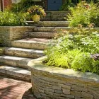 Business 6 image DE LA ROSA LANDSCAPING Lawn Care Service in San Diego CA