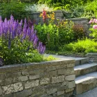 Business 7 image DE LA ROSA LANDSCAPING Lawn Care Service in San Diego CA