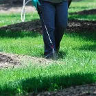 Business 10 image DE LA ROSA LANDSCAPING Lawn Care Service in San Diego CA