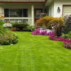 Business 11 image DE LA ROSA LANDSCAPING Lawn Care Service in San Diego CA