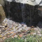 Business 17 image DE LA ROSA LANDSCAPING Lawn Care Service in San Diego CA