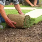 Business 19 image DE LA ROSA LANDSCAPING Lawn Care Service in San Diego CA