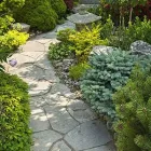 Business 20 image DE LA ROSA LANDSCAPING Lawn Care Service in San Diego CA