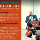 Business 4 image DEALER FOX Marketing Services in Chicago IL