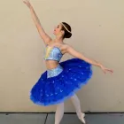 Business 3 image DEANE DANCE CENTER Pilates Instruction & Equipment in Sacramento CA