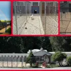 Business 4 image DEER PARK KENNELS Pet Sitter in Owings Mills MD