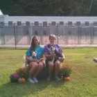 Business 6 image DEER PARK KENNELS Pet Sitter in Owings Mills MD