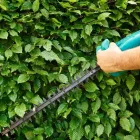 Business 6 image DELUXE TREE TRIMMING Window Supplier in San Diego CA
