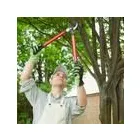 Business 7 image DELUXE TREE TRIMMING Window Supplier in San Diego CA