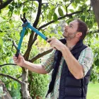 Business 12 image DELUXE TREE TRIMMING Window Supplier in San Diego CA