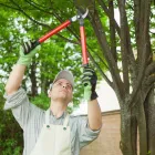 Business 13 image DELUXE TREE TRIMMING Window Supplier in San Diego CA