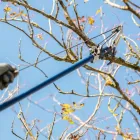 Business 17 image DELUXE TREE TRIMMING Window Supplier in San Diego CA