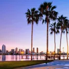 Business 20 image DELUXE TREE TRIMMING Window Supplier in San Diego CA