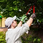 Business 26 image DELUXE TREE TRIMMING Window Supplier in San Diego CA