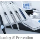 Business 1 image DENTAL ARTS OF FLORIDA: DR FRED TEPEDINO, DMD Dental Clinics in Jacksonville FL
