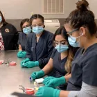 Business 2 image DENTAL DEPOT ACADEMY Dental Technician in Oklahoma City OK