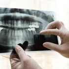 Business 2 image DENTOFACIAL IMAGING NW in Bellevue WA