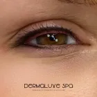 Business 1 image DERMALUXE SPA Permanent Makeup in Houston TX