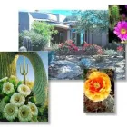 Business 3 image DESERT ENVIRONMENTS Lawn Care & Garden Maintenance in Scottsdale AZ