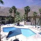Business 6 image DESERT LODGE Motels in Palm Springs CA