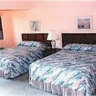Business 4 image DESERT LODGE Motels in Palm Springs CA