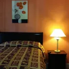 Business 3 image DESMOND HOTEL Motel in San Francisco CA