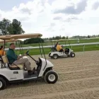Business 1 image DEVER GOLF CARS in Lexington KY