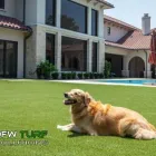 Business 1 image DFW TURF SOLUTIONS in Fort Worth TX