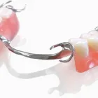 Business 5 image DG DENTAL LAB Dental Labs in Bronx NY