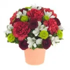Business 7 image DI BIASO'S FLORIST Gift Shops in Wilmington DE