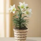 Business 4 image DI BIASO'S FLORIST Gift Shops in Wilmington DE
